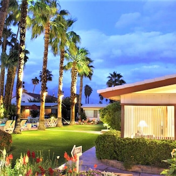 E-Comm: Dog Friendly Hotels, A Place in the Sun, Palm Springs